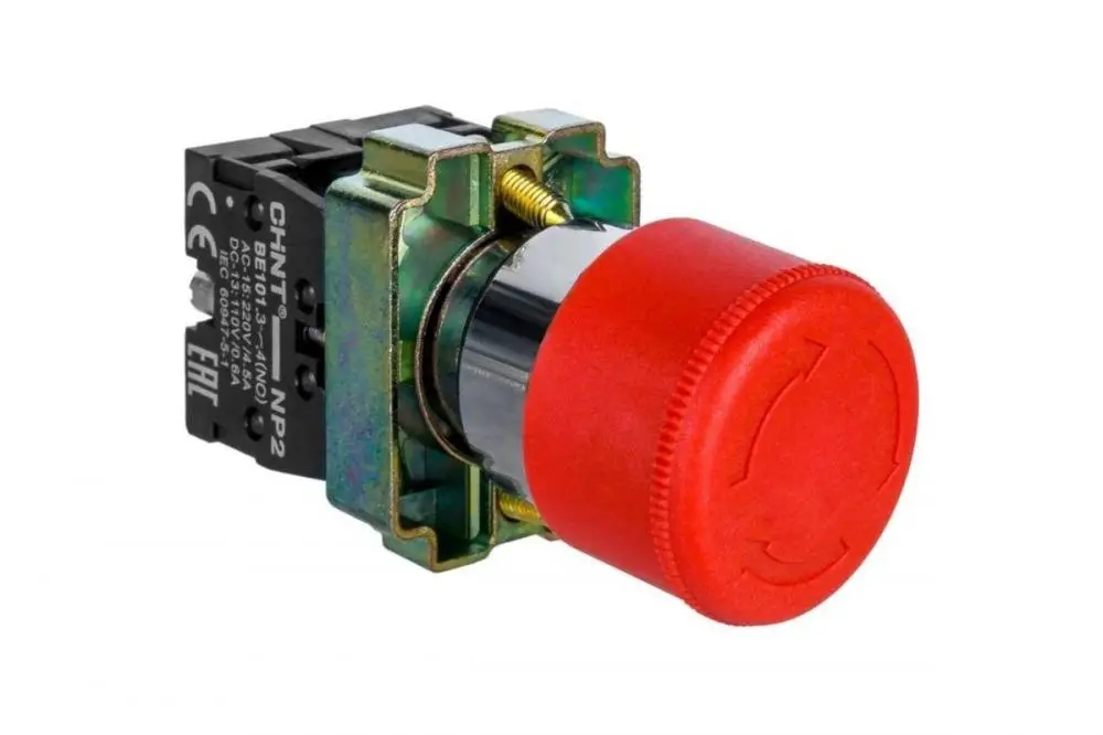 knopka-chint-574862